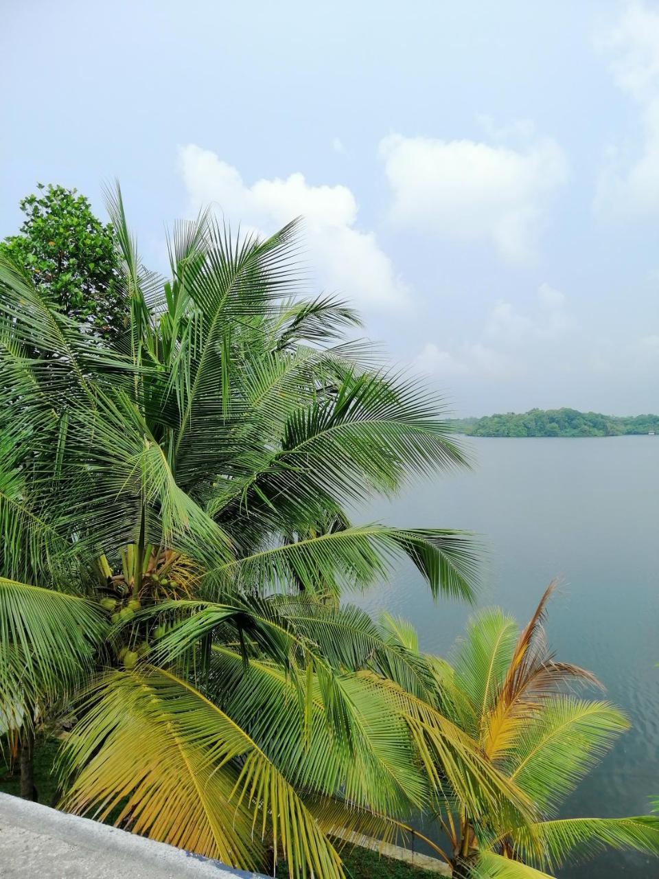 Hikka Lagoon Hikkaduwa Ngoại thất bức ảnh