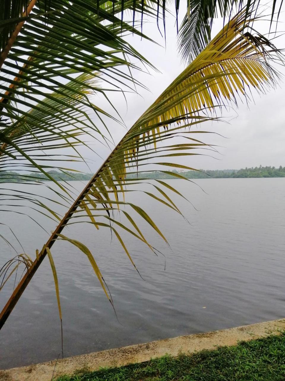 Hikka Lagoon Hikkaduwa Ngoại thất bức ảnh